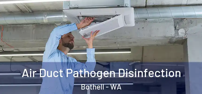 Air Duct Pathogen Disinfection Bothell - WA