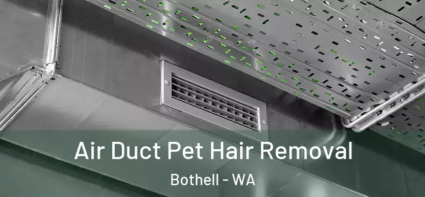 Air Duct Pet Hair Removal Bothell - WA