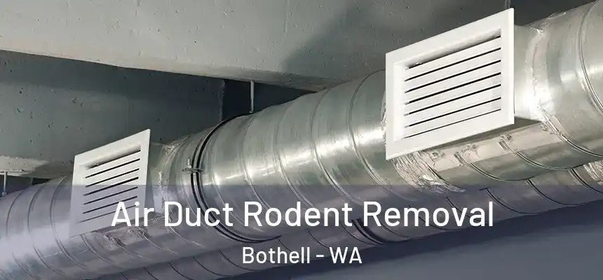  Air Duct Rodent Removal Bothell - WA