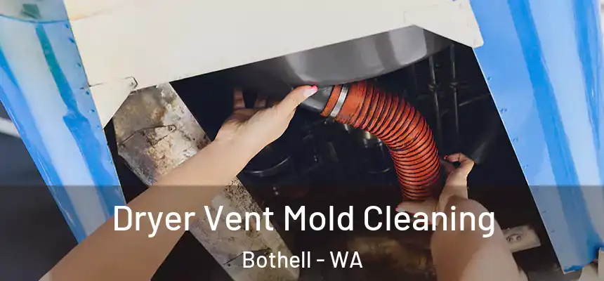  Dryer Vent Mold Cleaning Bothell - WA