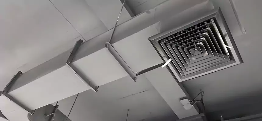 Restorative Allergy Relief Vent Cleaning – Coil, Blower & Housing Detail in Bothell