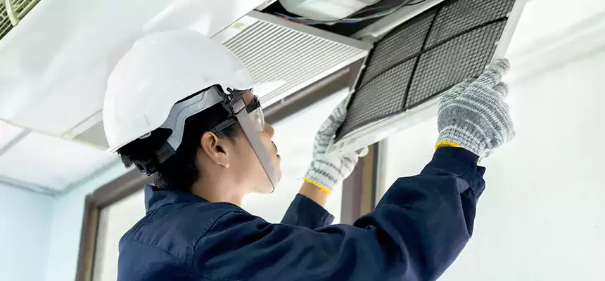 Our Mold & Mildew Removal from Air Ducts Services in Bothell, WA