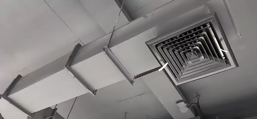 Our Pest Removal From Ducts Services in Bothell, WA