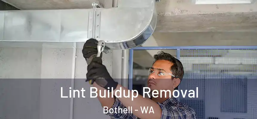 Lint Buildup Removal Bothell - WA