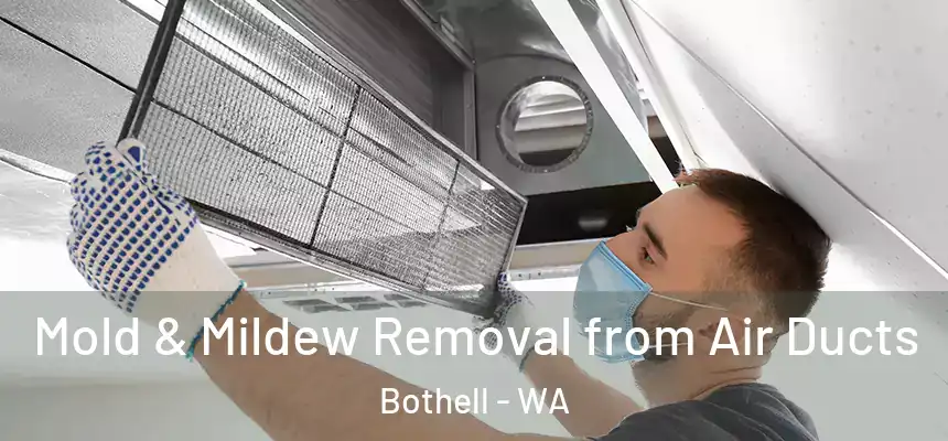  Mold & Mildew Removal from Air Ducts Bothell - WA