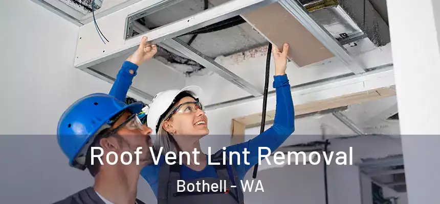 Roof Vent Lint Removal Bothell - WA