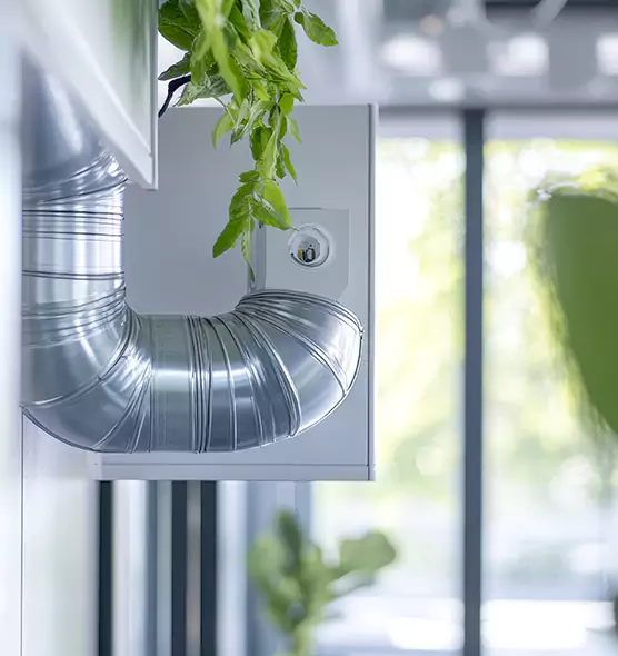 Professional Eco-Friendly Duct Cleaning Services in Bothell, WA