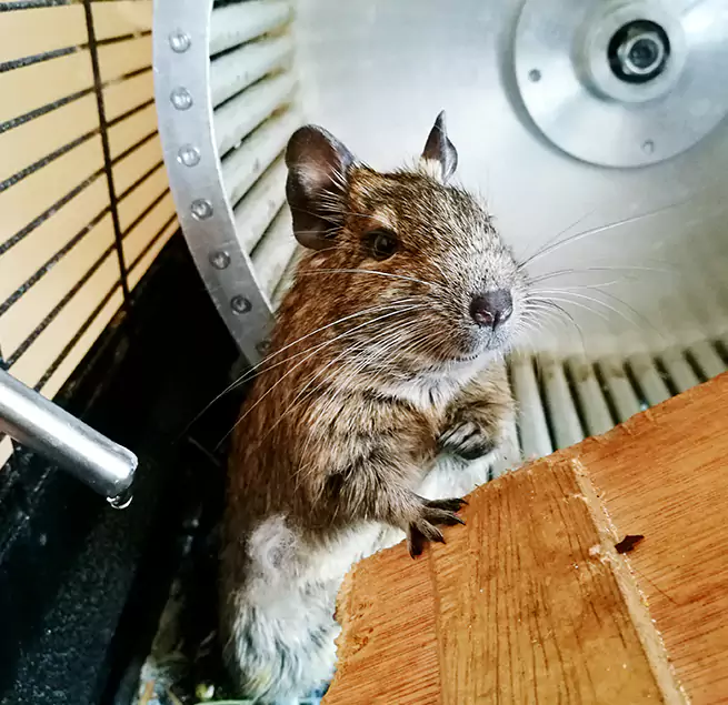 Why Homeowners & Businesses Trust Us Bothell, WA